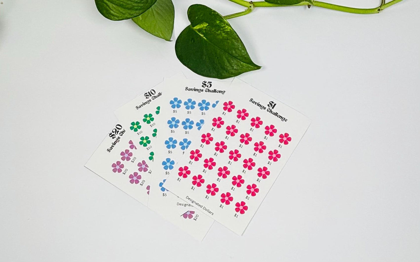 Flower Power Savings Challenge, Flower Savings, Savings challenge