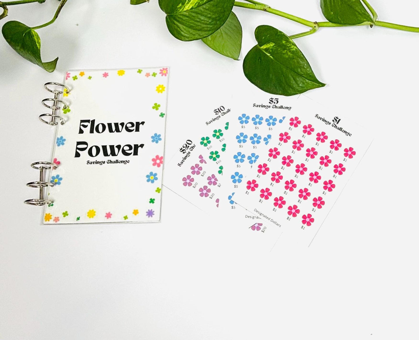 Flower Power Savings Challenge, Flower Savings, Savings challenge