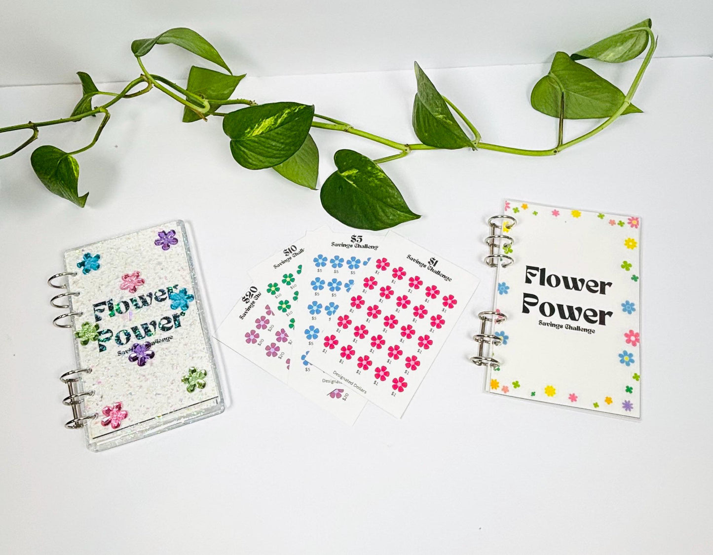 Flower Power Savings Challenge, Flower Savings, Savings challenge